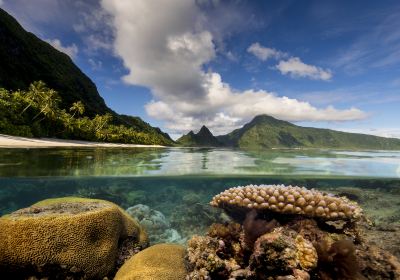 Nationalpark von Amerikanisch-Samoa