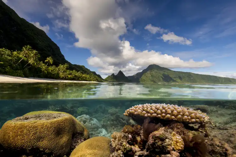 Hôtels à proximité de : Parc national des Samoa américaines