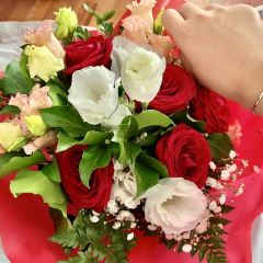 Lolas service 여행 사진