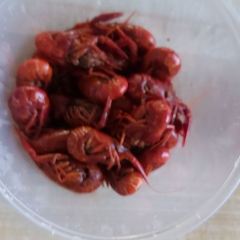 BALI CRAYFISH DELICIOUS User Photo
