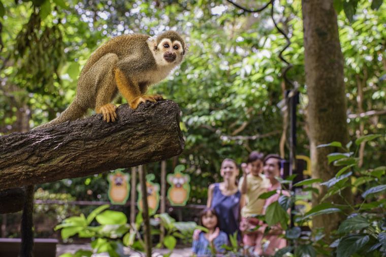 シンガポール旅行費用を抑えられるベストシーズンは6月
