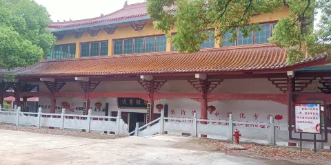 金霞山森林公園
