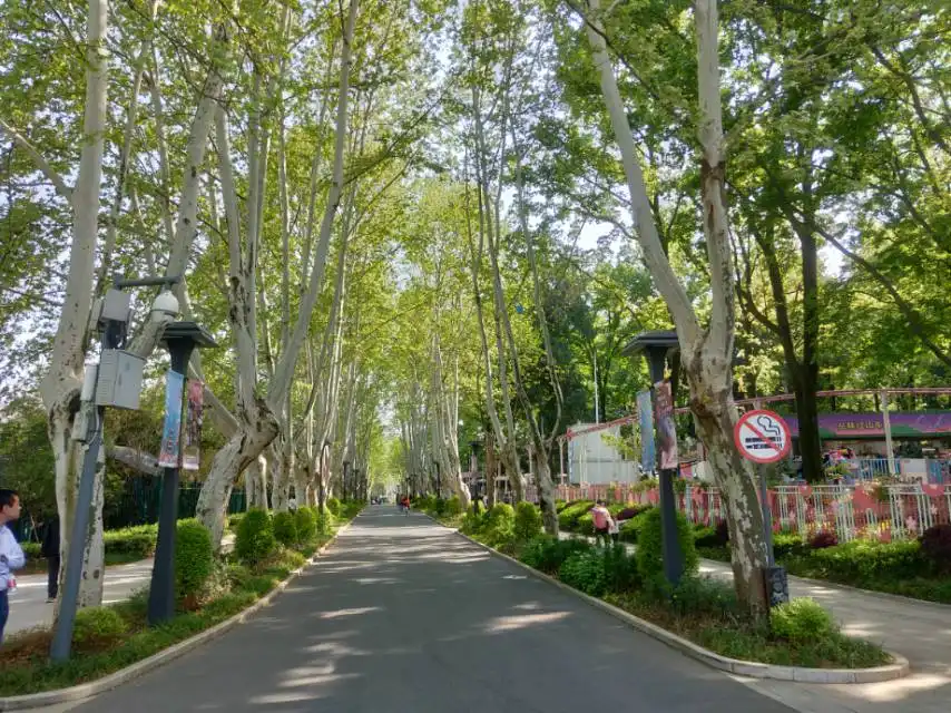 磨山友誼林附近的飯店