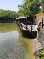 Shaoyangshi Baoqing Forest Park