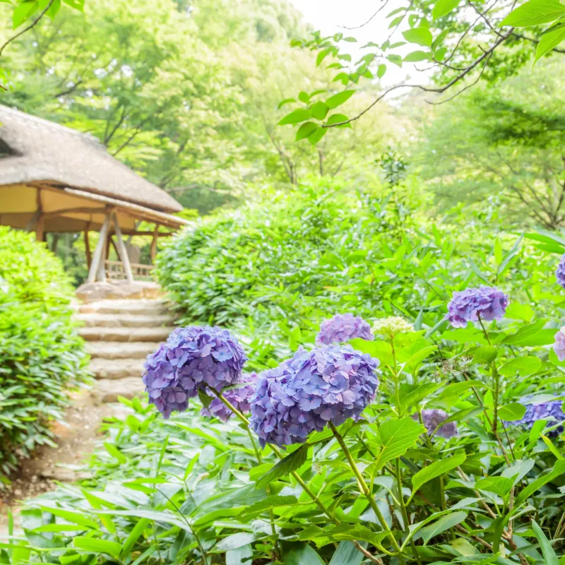 六義園