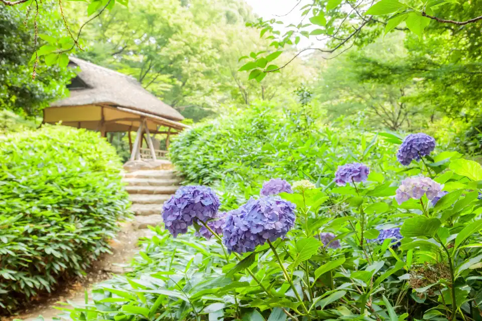 1_Rikugien Gardens