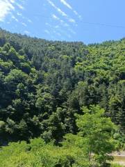 리쯔위안 삼림공원