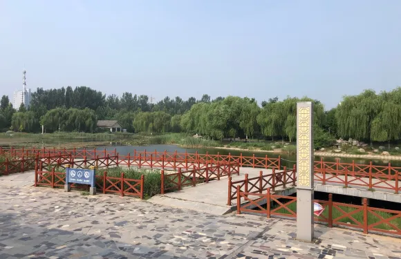 博野