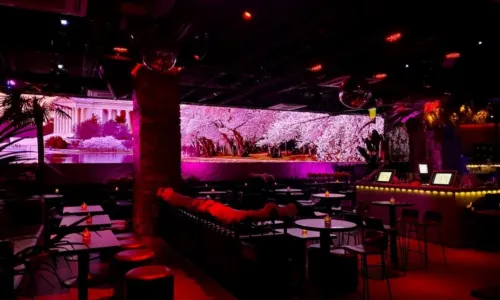 제제 라운지