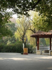 Jinghu Park