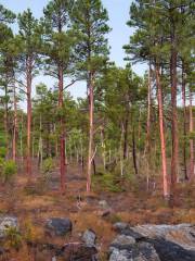 Muotkatunturi Wilderness Area