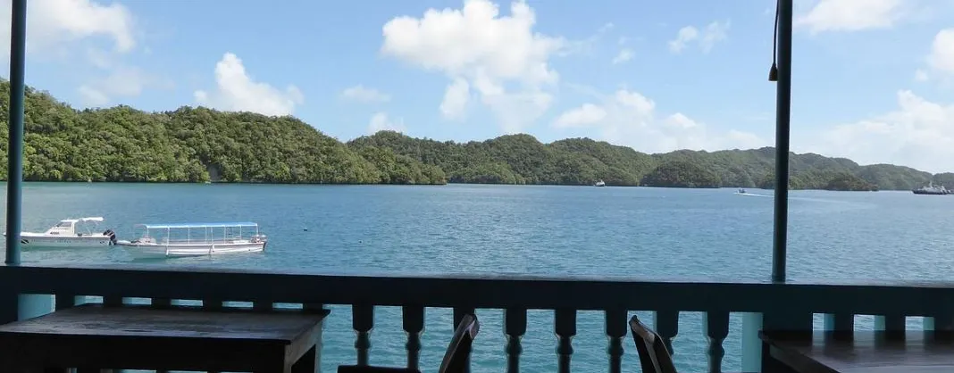 Restaurants for Views & Experiences