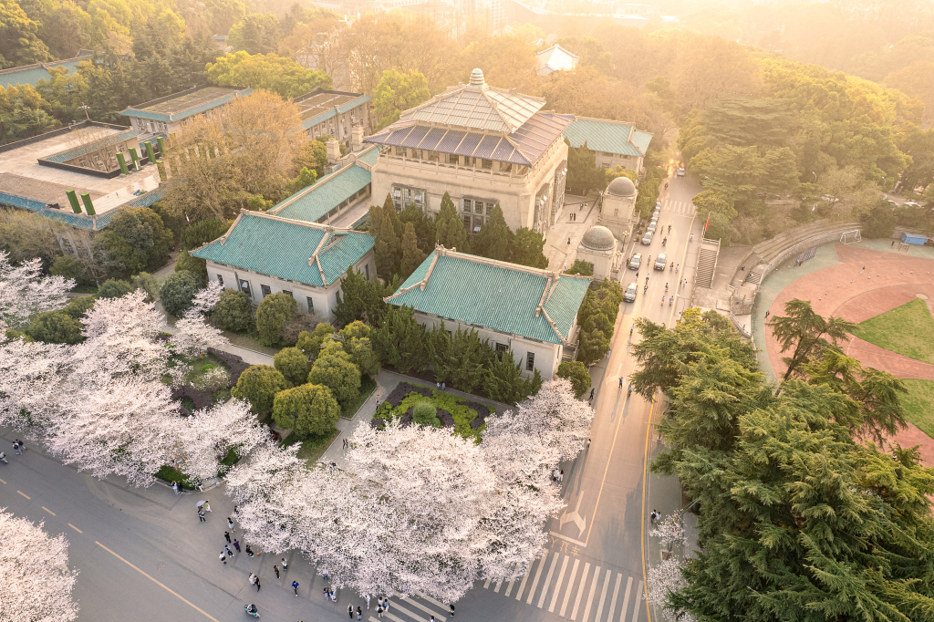 Wuhan University - Cherry Blossom Castle