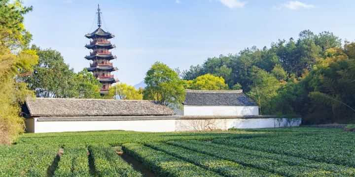 Yanqing Temple Tower