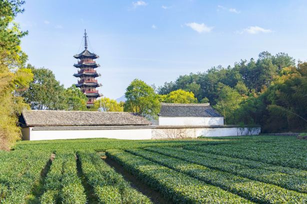 Yanqing Temple Pagoda