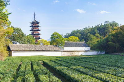 Yanqing Temple Pagoda