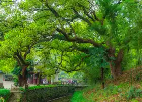 鳳凰山景區