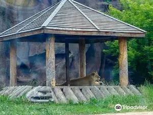 Gosudarstvennyy Zoologicheskiy Park Udmurtii