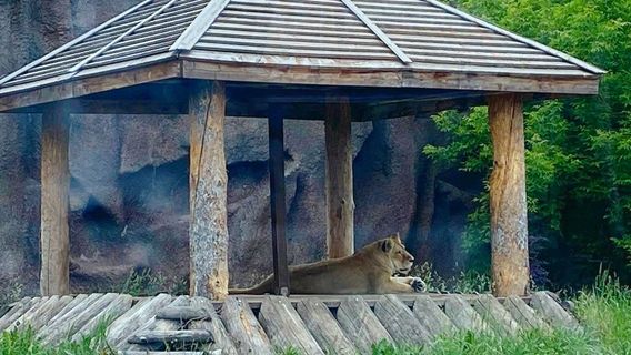 Gosudarstvennyy Zoologicheskiy Park Udmurtii