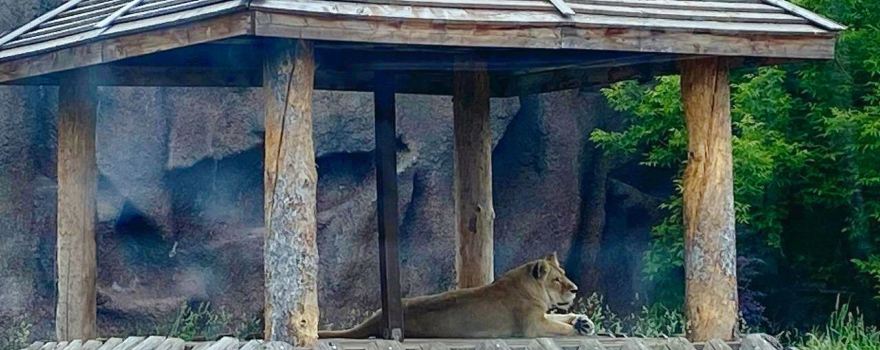 Gosudarstvennyy Zoologicheskiy Park Udmurtii