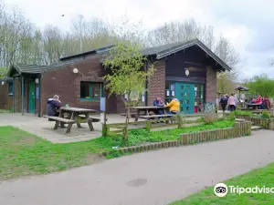 Plessey Woods Country Park