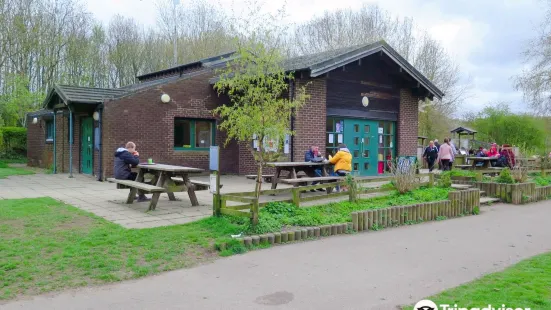 Plessey Woods Country Park