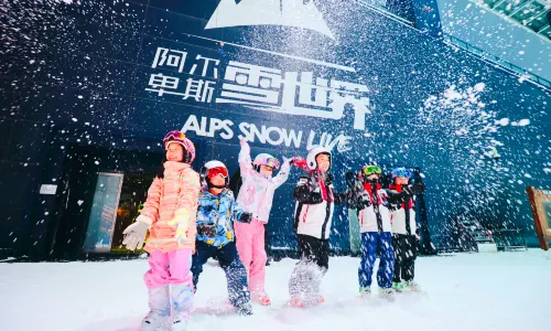 Alps Snow Live