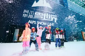 Alps Snow Live
