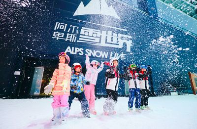 Alps Snow Live