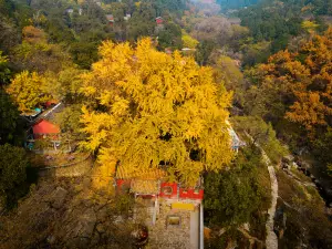 Mount Taishan