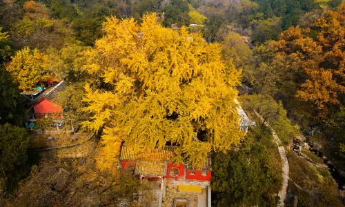 Mount Taishan