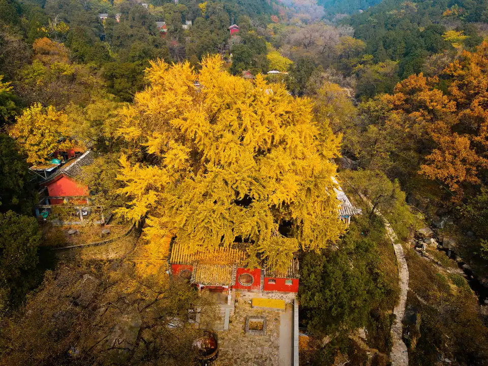 3_Mount Taishan