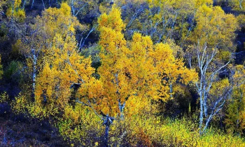 Meiligeng Scenic Area