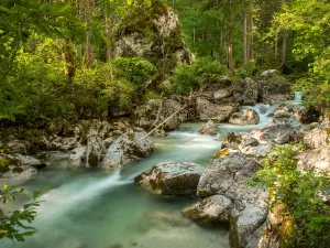 Zauberwald, Ramsau bei Berchtesgaden