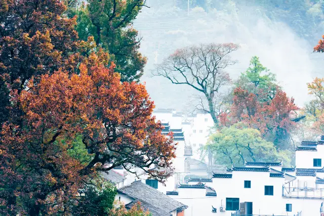 Fall Foliage Sightseeing in Shangrao