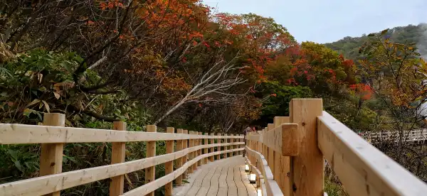노보리베츠