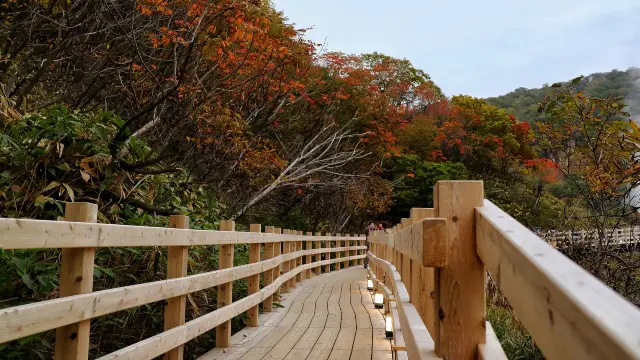 Fall Leaves Viewing in Noboribetsu