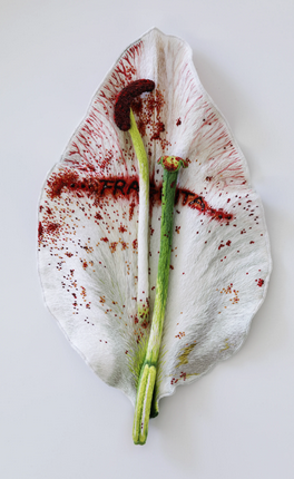 《第56次挖掘活動（1968/2024）》安妮和帕特里克·普瓦里爾展覽 | Galerie Mitterrand