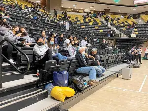 Wildcat Den