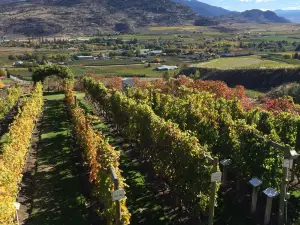 Tinhorn Creek Vineyards