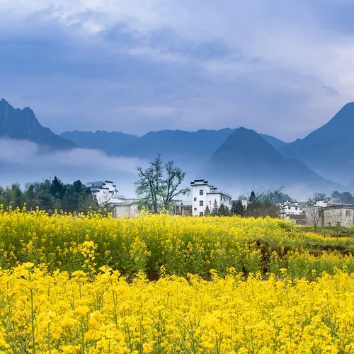 상하 효기 마을