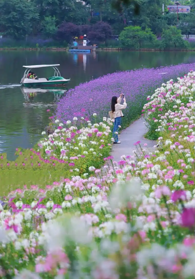 雲林天鄉花朝節 | 重慶
