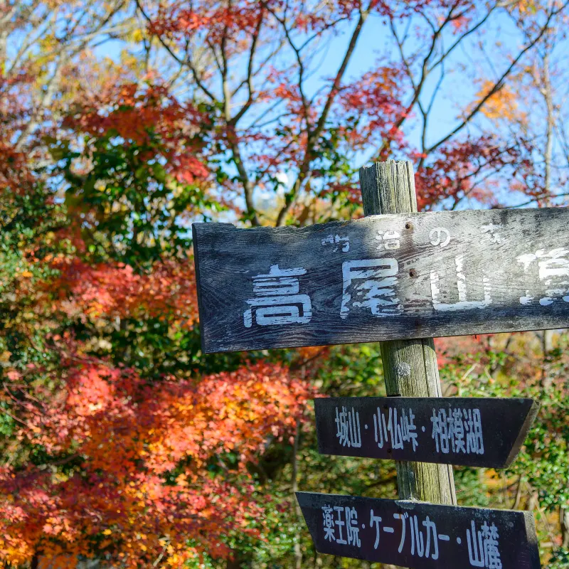 高尾山