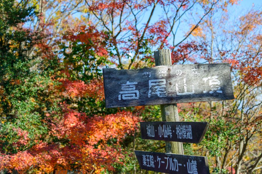 高尾山