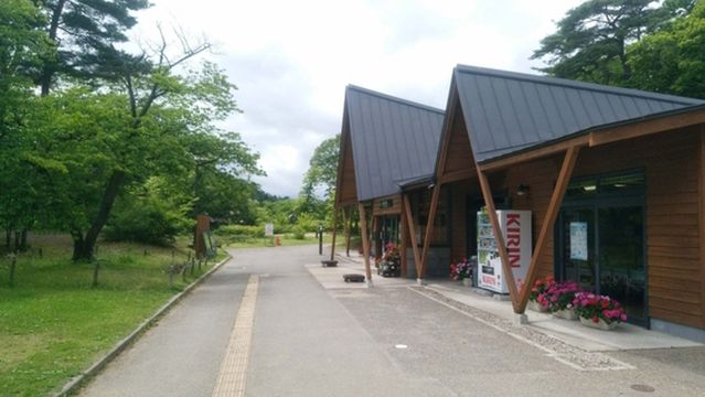 Mizunomori Park Camping Ground