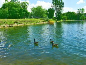 Parc des Rapides