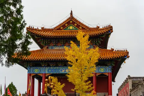 Zhouzu Mausoleum Forest Park