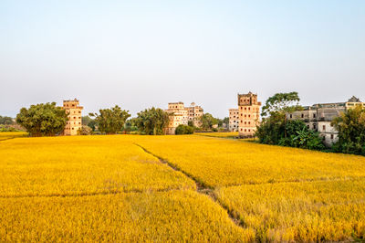 Kaiping Diaolou