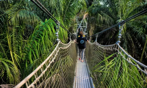 Lekki Conservation Centre