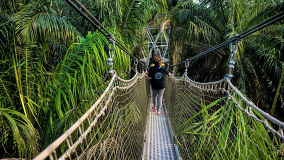 Lekki Conservation Centre